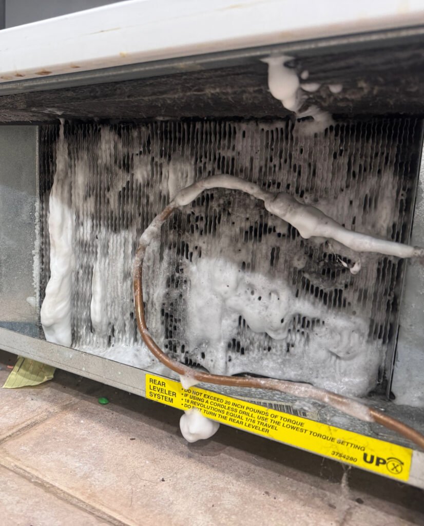 Adobe Express - File (48)