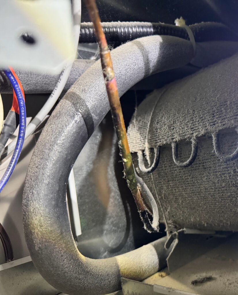 Adobe Express - File (49)